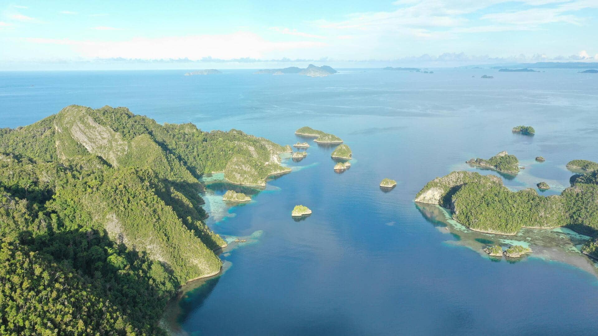 パラオの魅力的な水中洞窟と海洋湖を探る パラオの魅力的な水中洞窟と海洋湖を探る