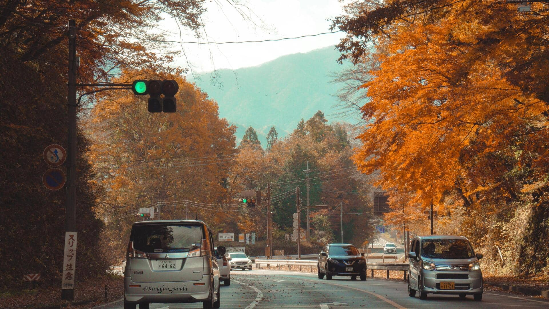 日光の秋の紅葉スポット五選