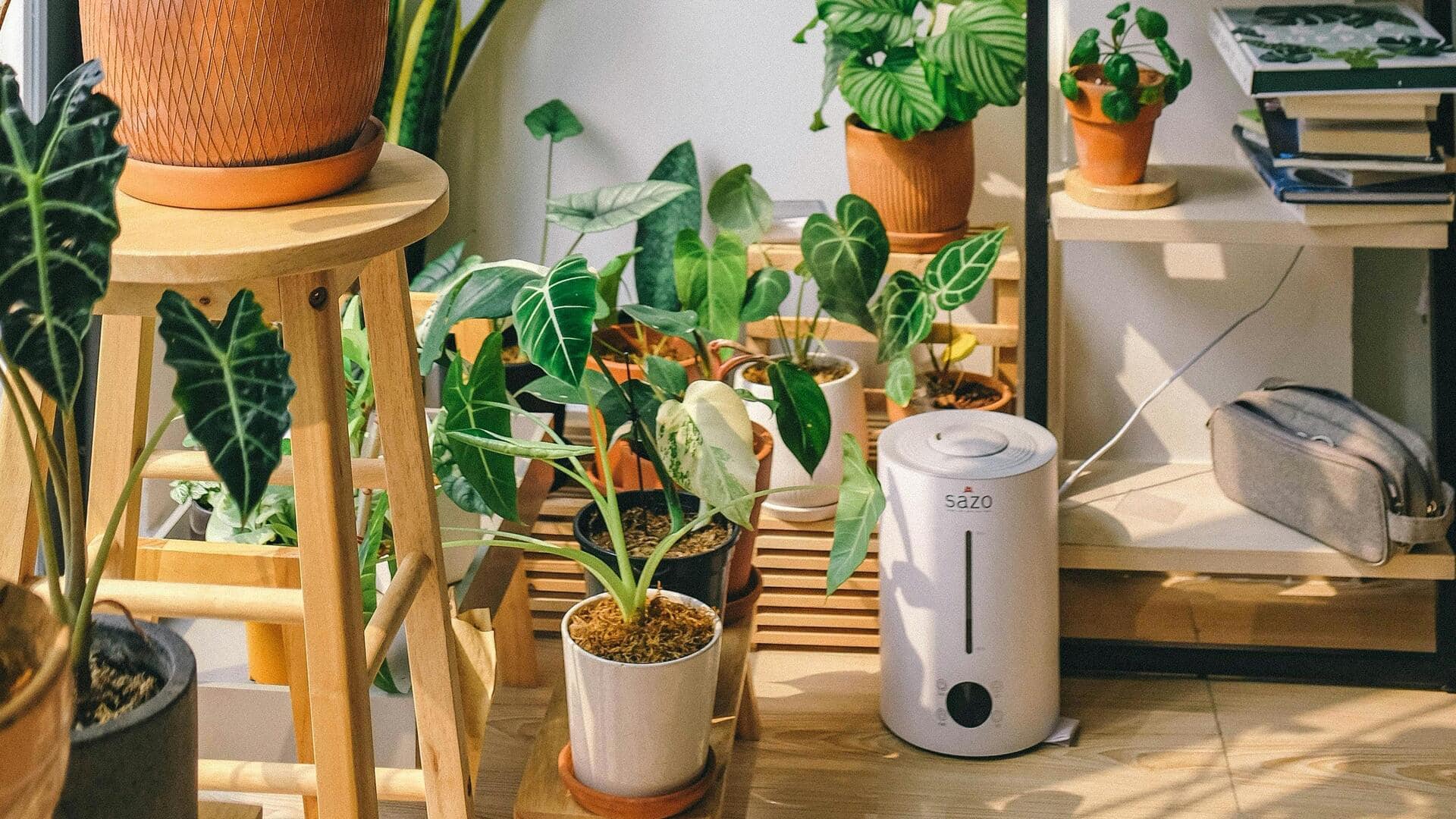 家庭で使わないテクノロジーガジェットを安全に保管する方法