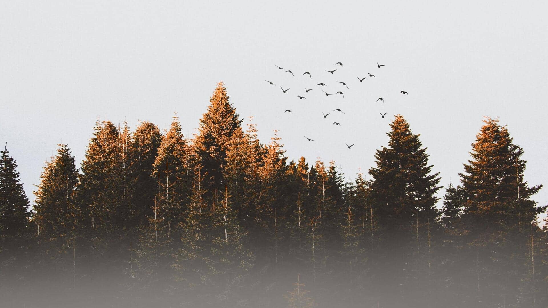 デスクトップ背景を集中力向上のために設定する方法