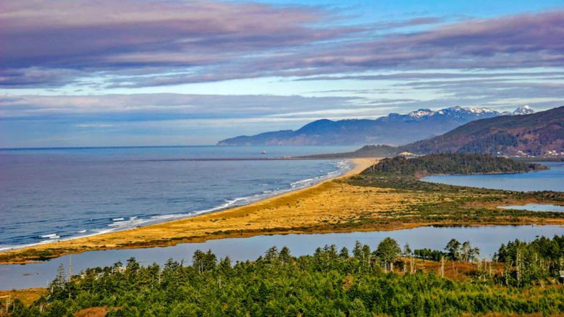 オレゴンの静かな海岸山岳リトリートを探る