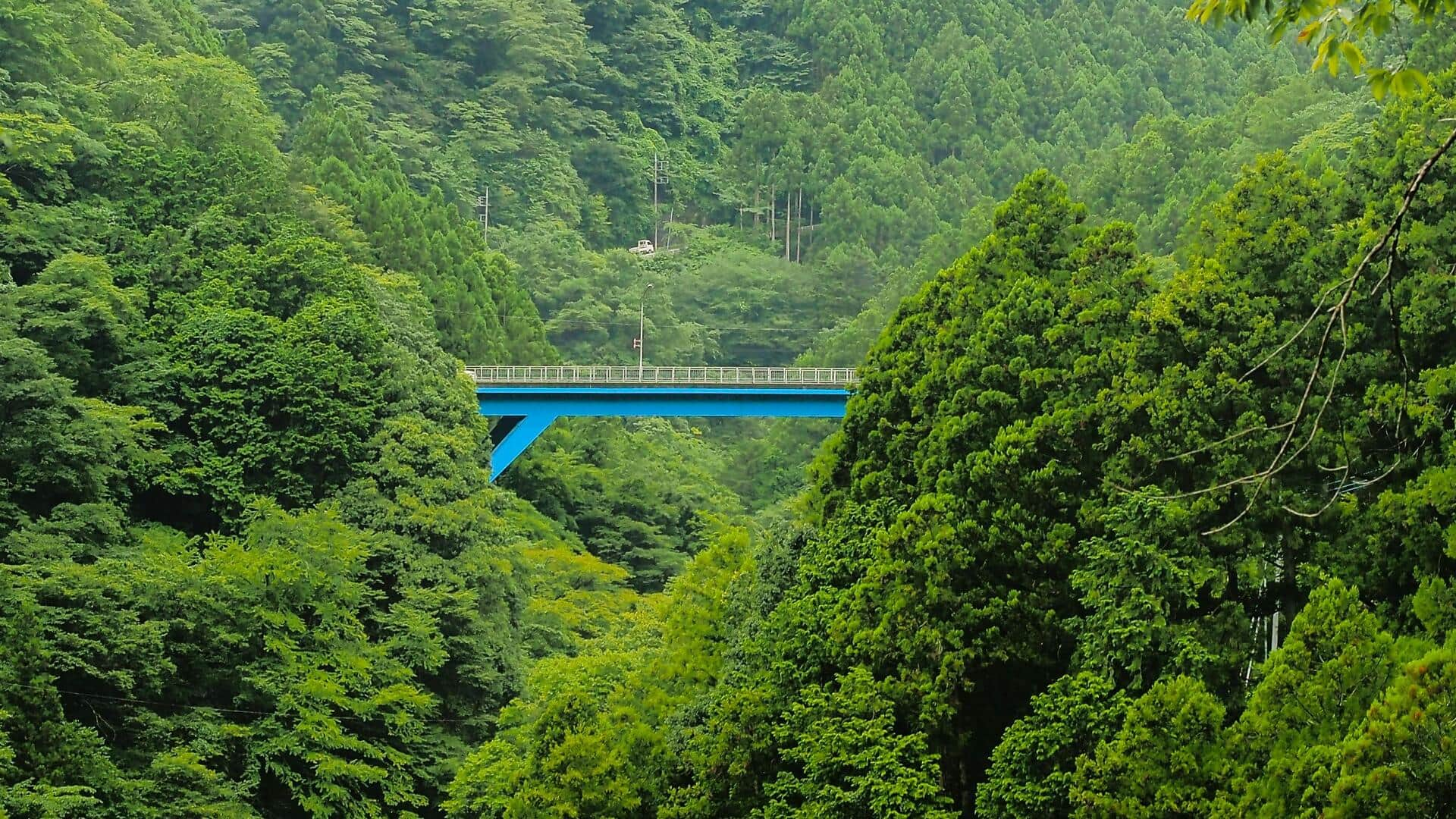 東京近郊の絶景ヒルステーション５選