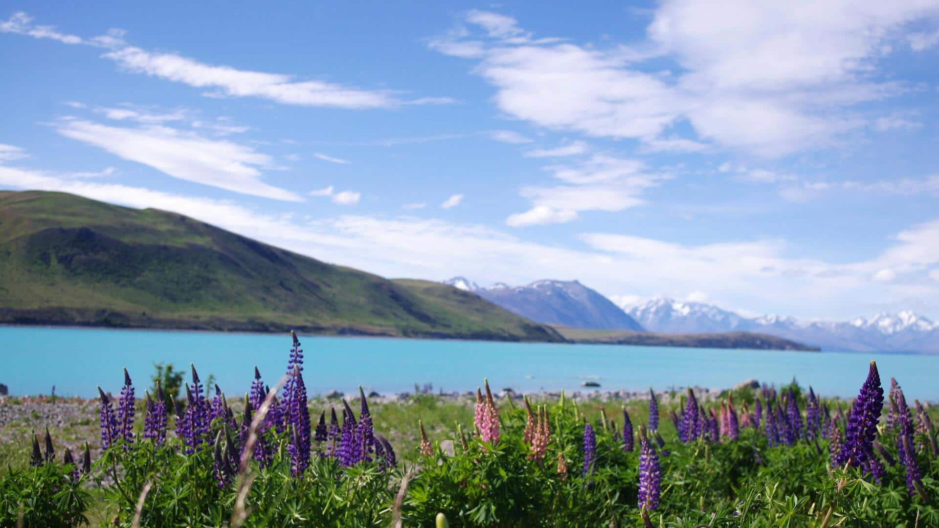 ニュージーランドの隠れた山岳リトリートを発見
