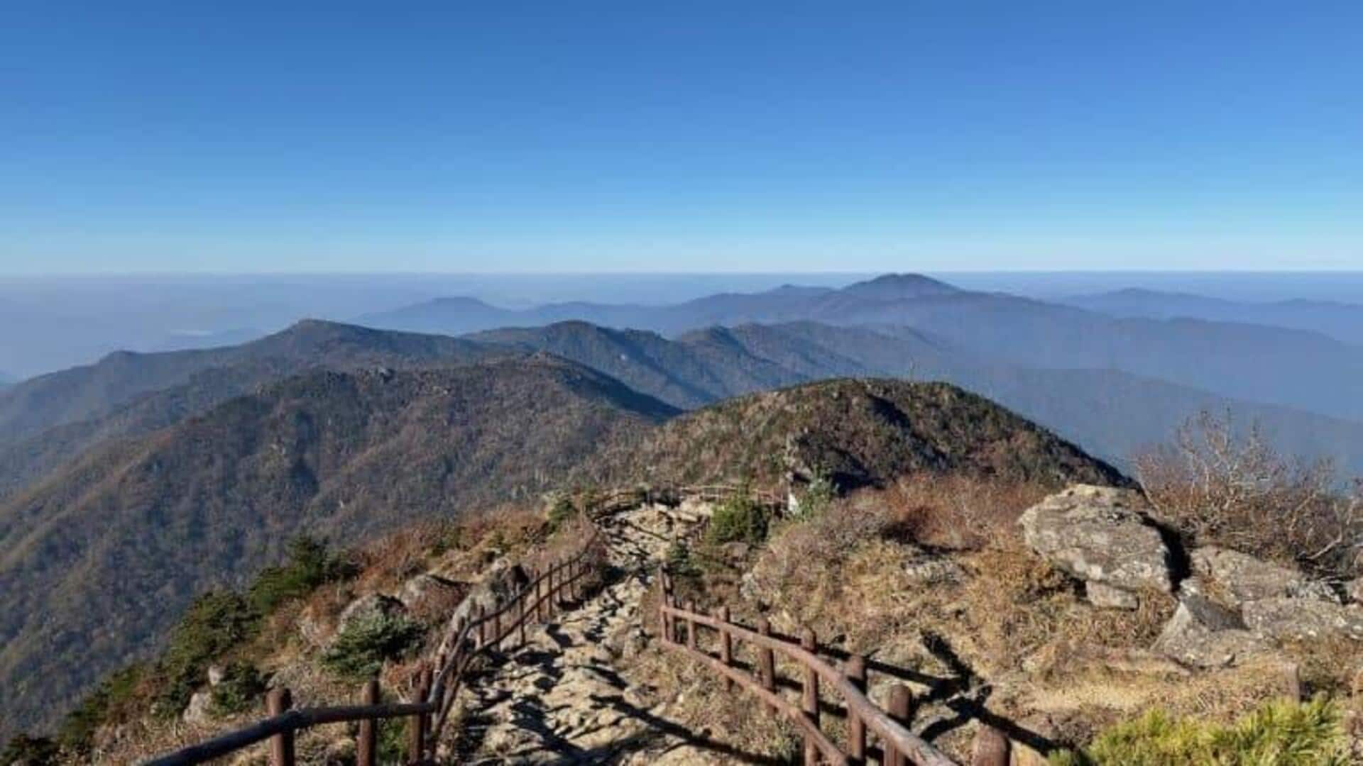 韓国の魅力的な智異山の逃避行