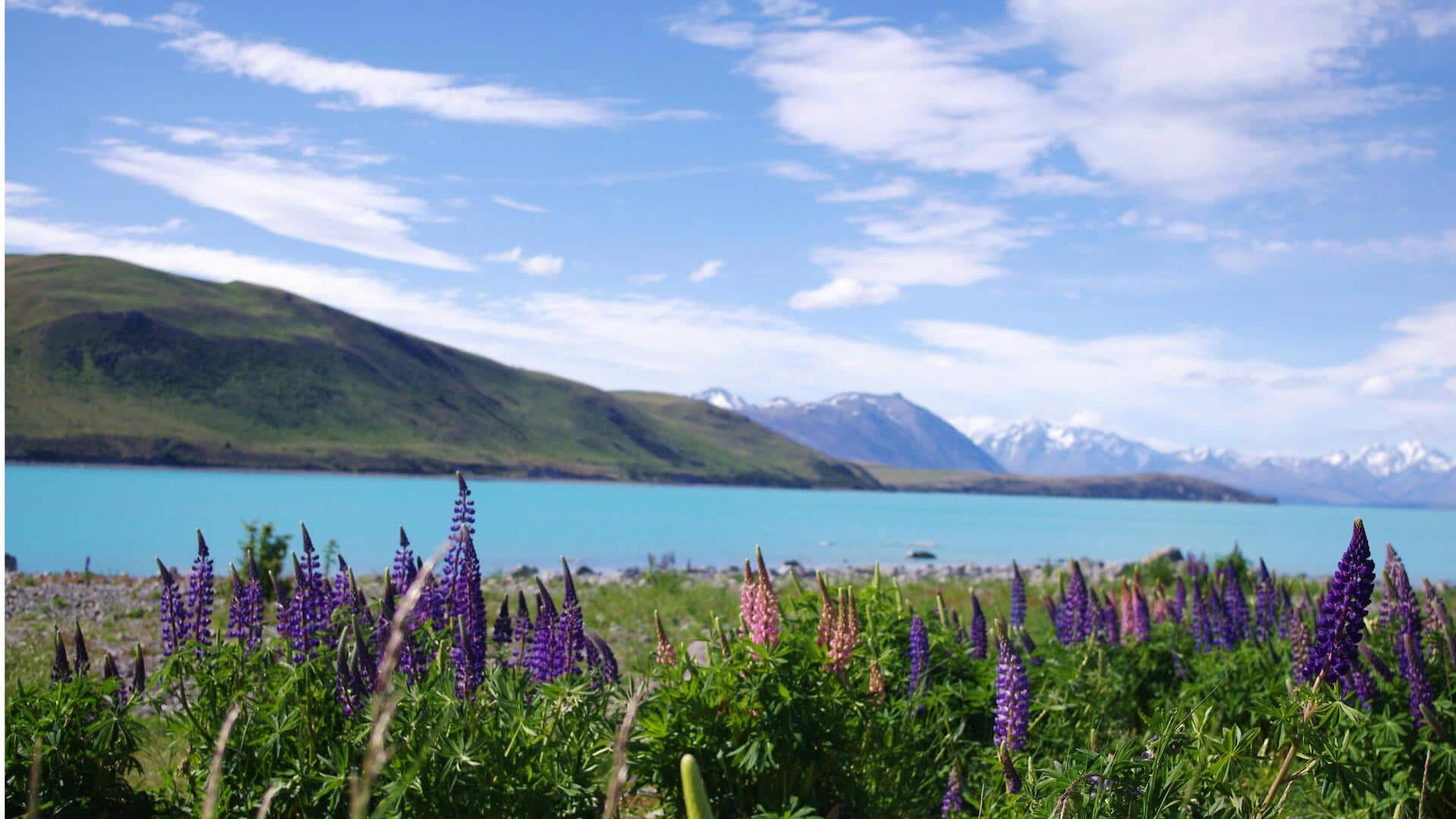 ニュージーランド南アルプスの静かな景色を発見