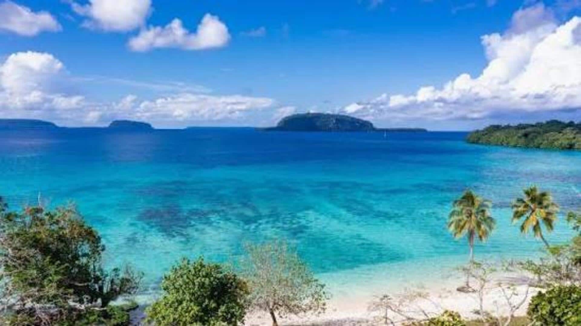 バヌアツの美しい海岸でリラックス