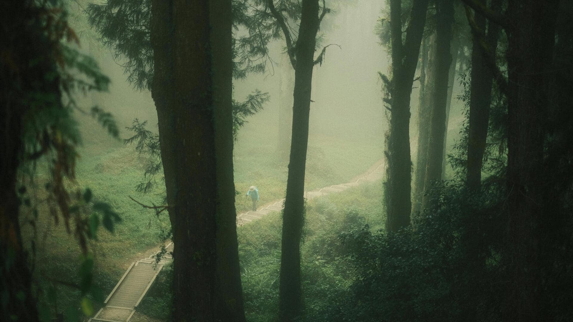 台湾の阿里山：絶対に訪れたい自然の楽園