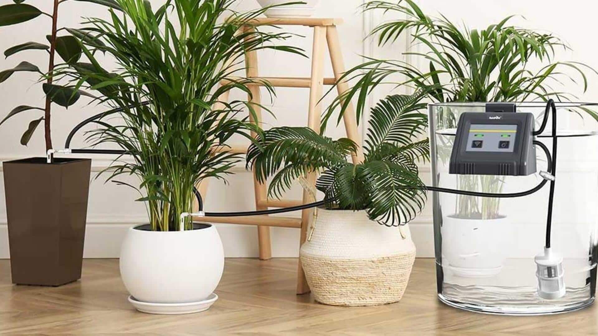 スマート灌漑システムで室内植物のケアを自動化