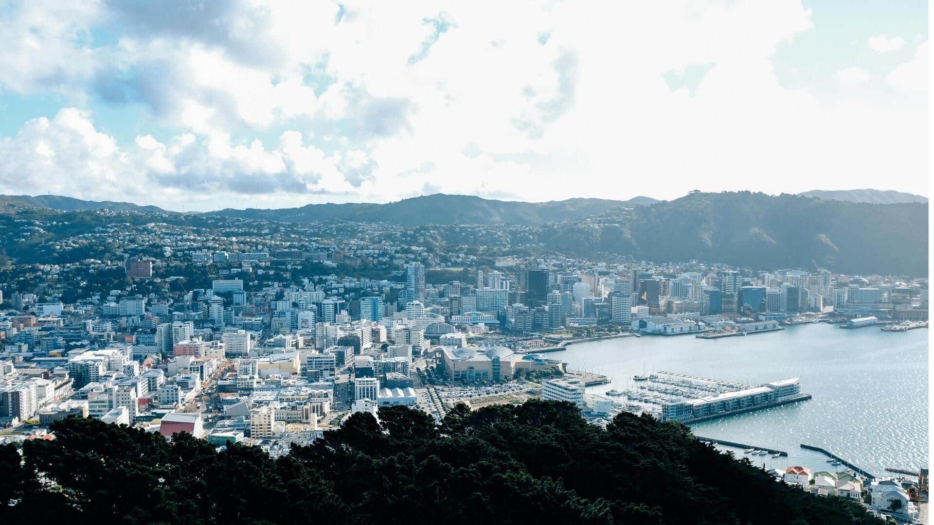 ウェリントンのアート地区を探る