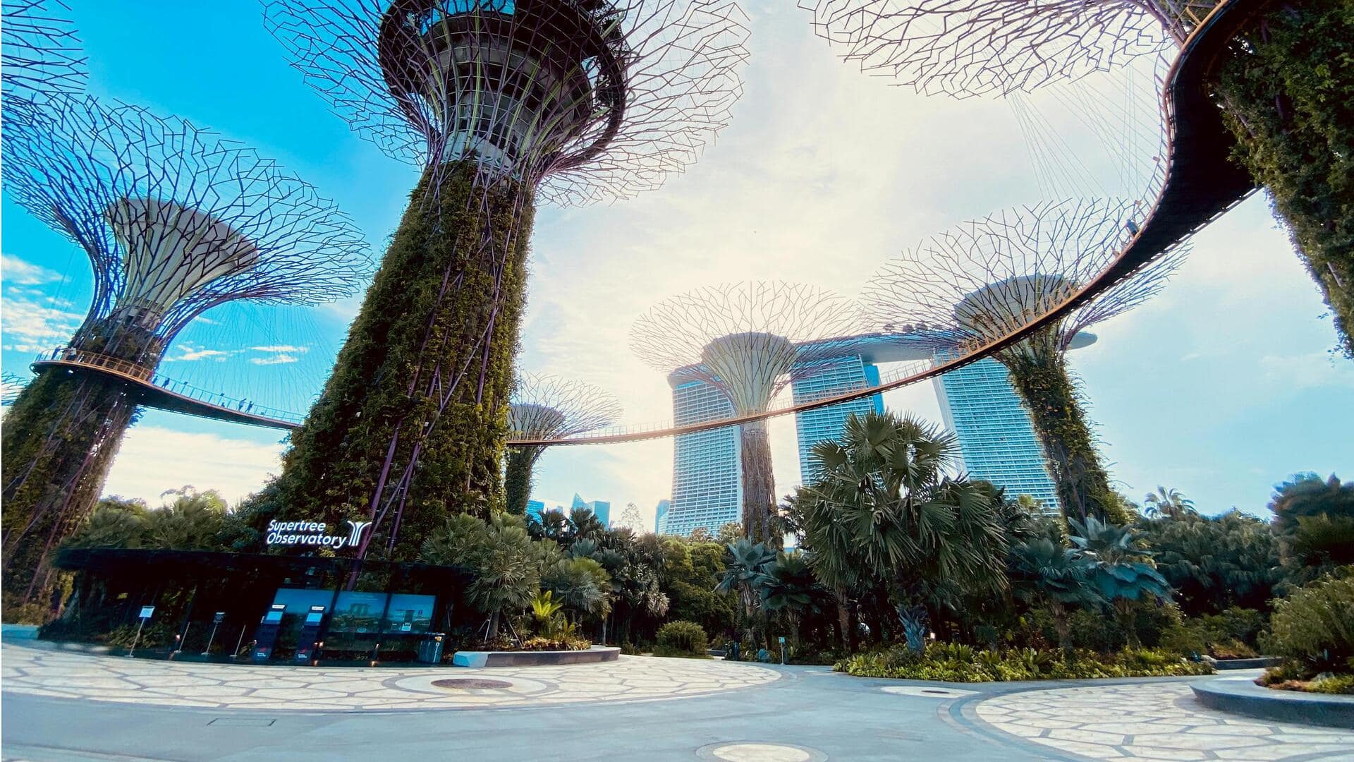 シンガポールの家族向けサイクリングコース5選