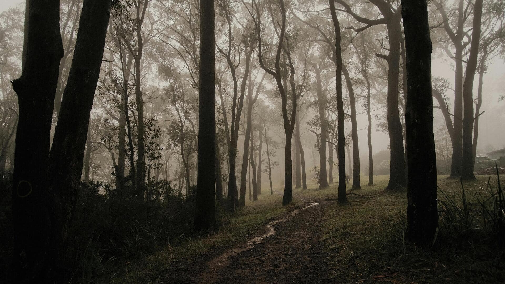 ウェリントンの絶景丘陵公園五選