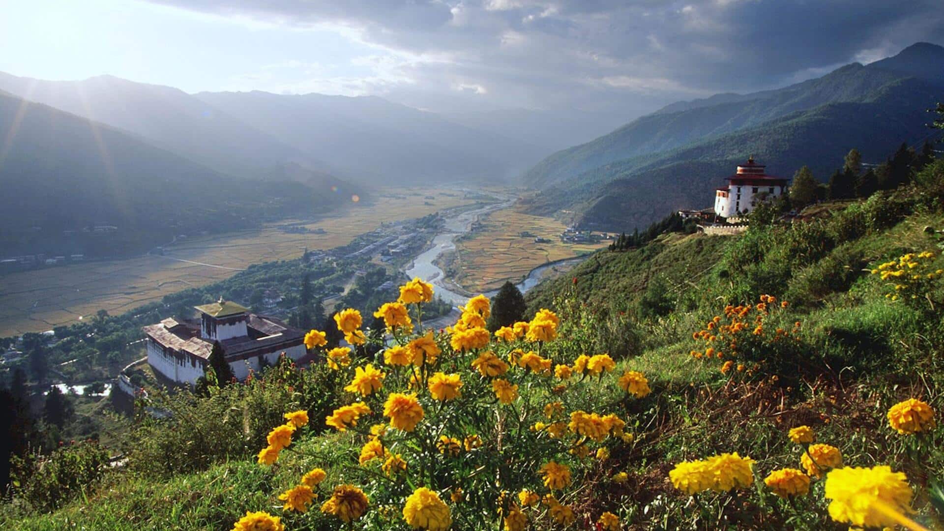 ブータンの多様な風景で野生動物を観察する方法