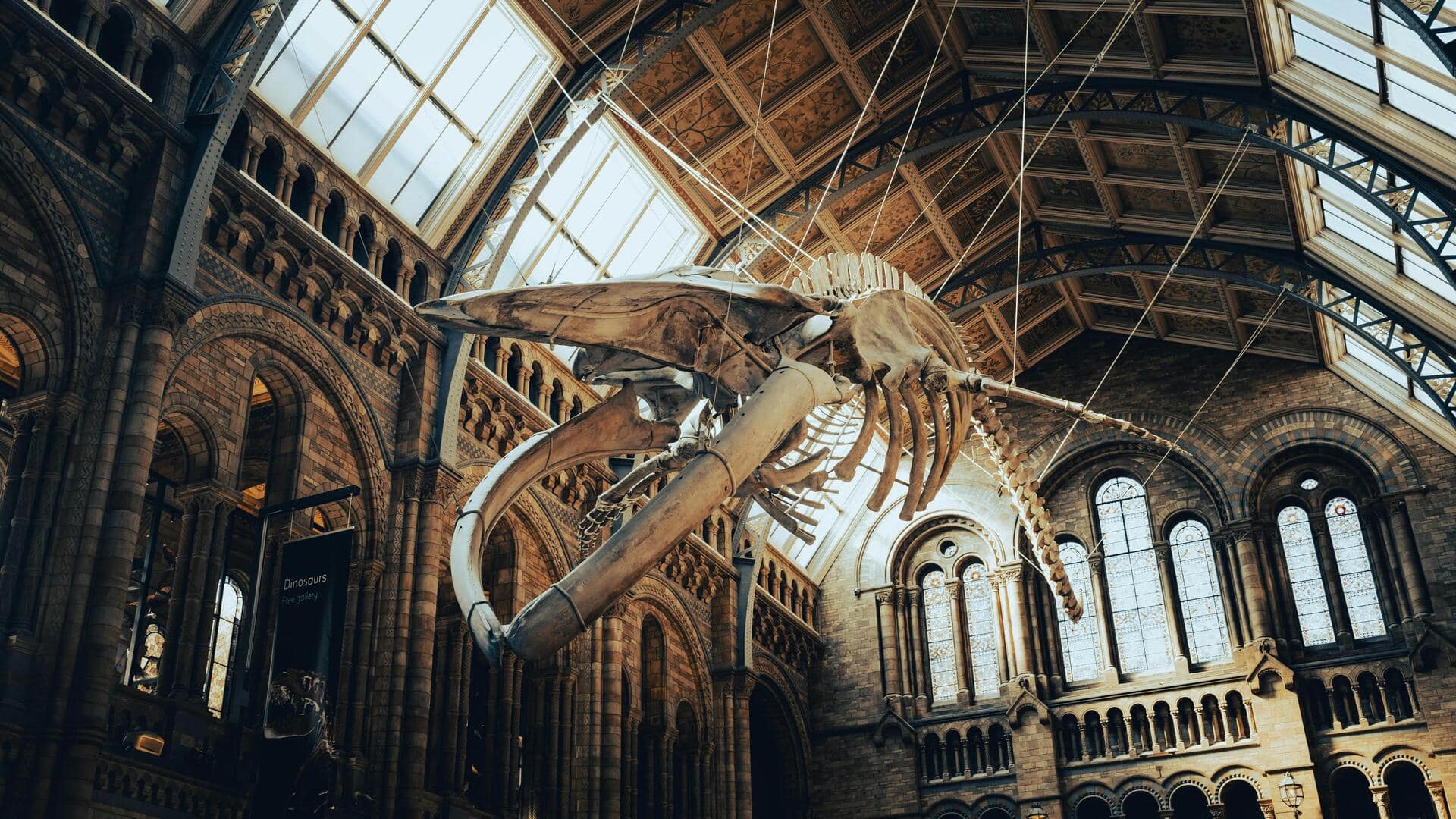 世界的に有名なインタラクティブ展示のある博物館 世界的に有名なインタラクティブ展示のある博物館
