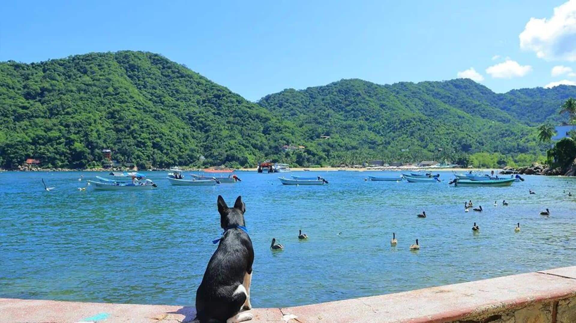 メキシコのシエラ・マドレを探検しよう：忘れられない山岳旅行