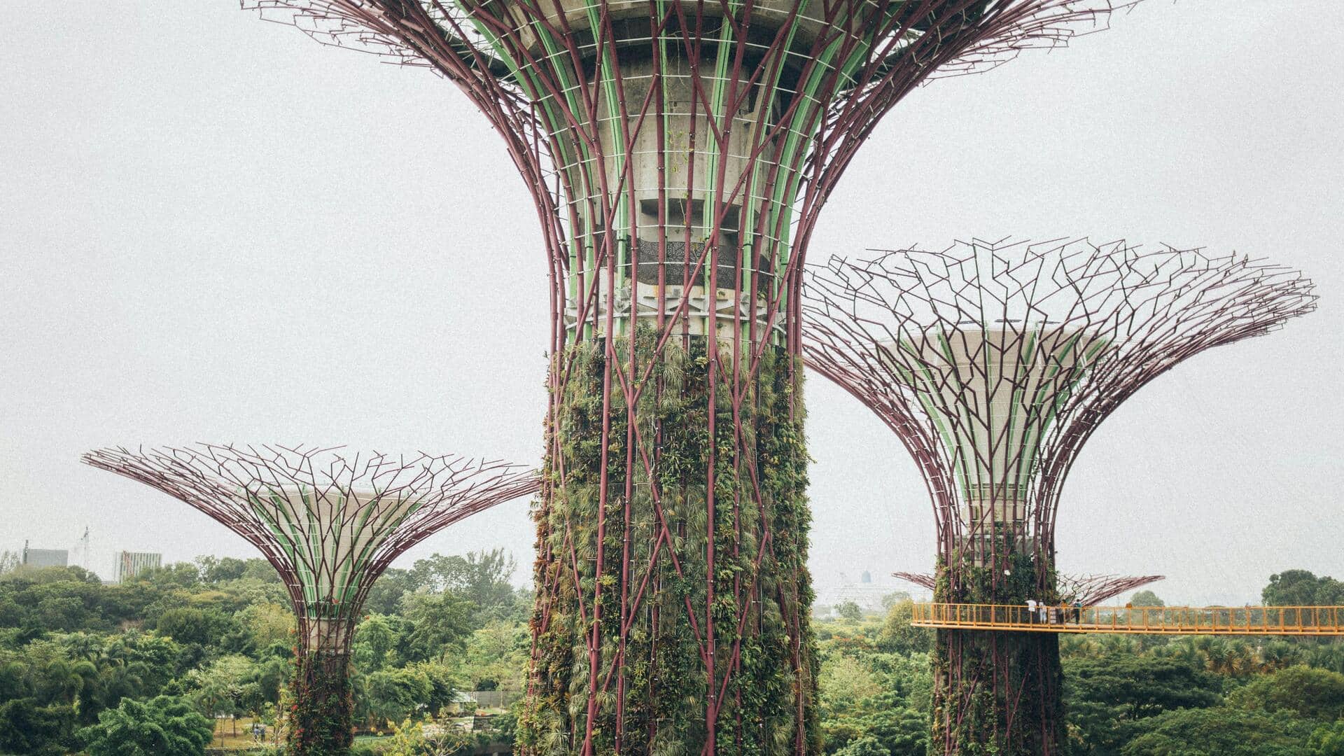 シンガポール植物園: 自然愛好家のための緑豊かな逃避所