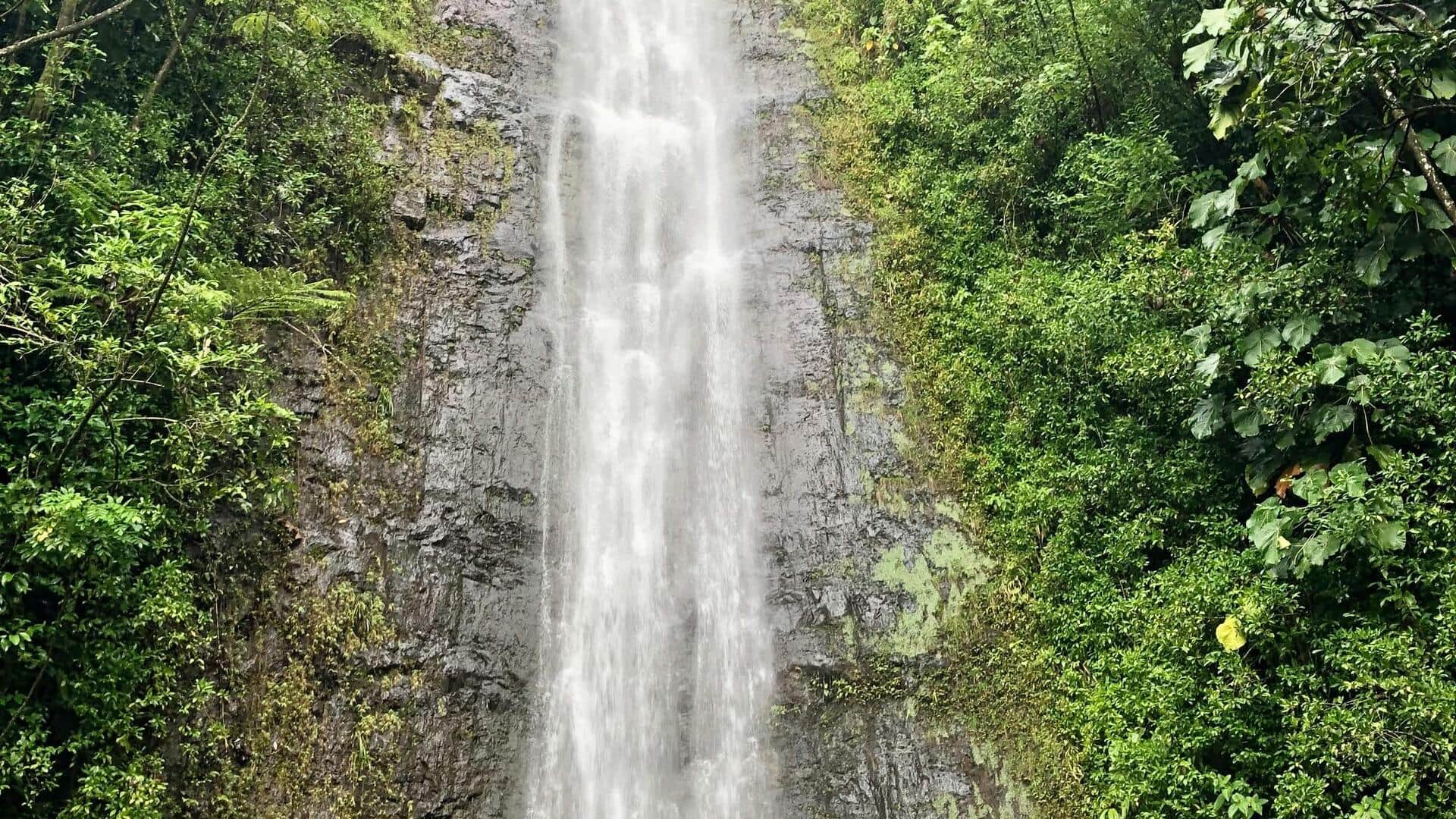 ハワイの美しい滝を巡るハイキング