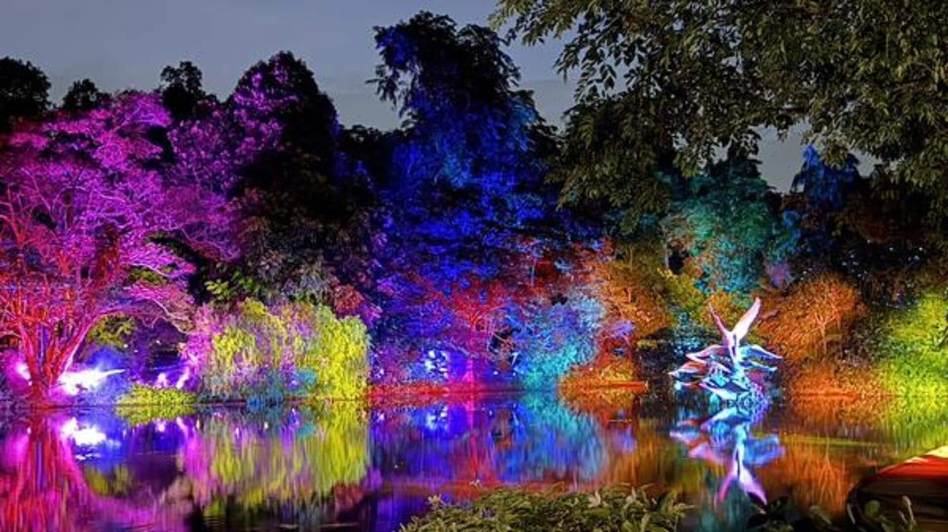 シンガポールの夜景: 魅惑的な庭園と光る公園