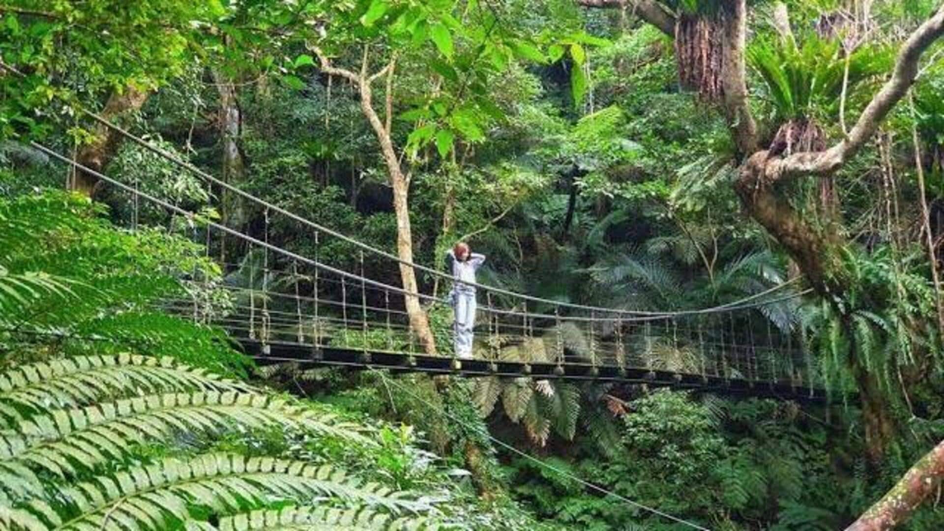 台湾の山岳リトリート：心と体を癒す静寂の旅