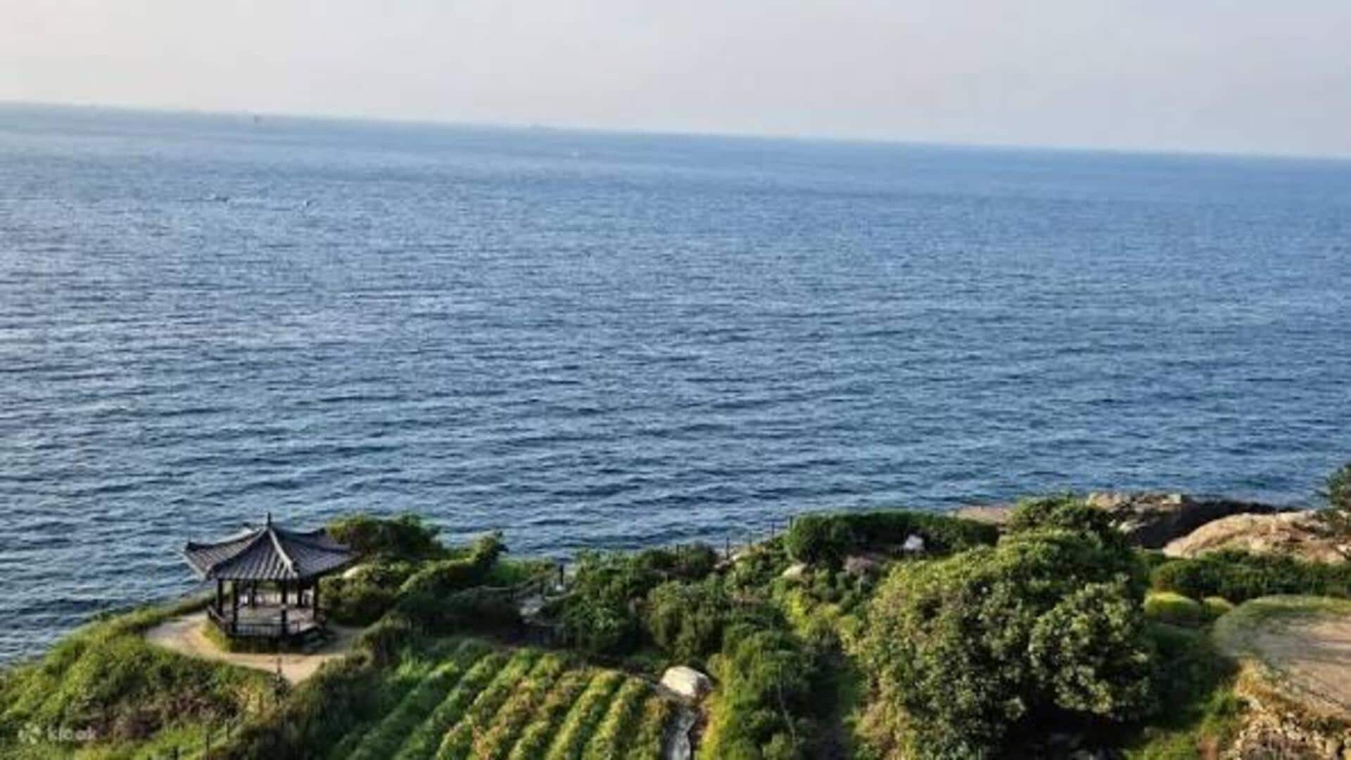韓国の海岸沿いの田んぼボートツアー
