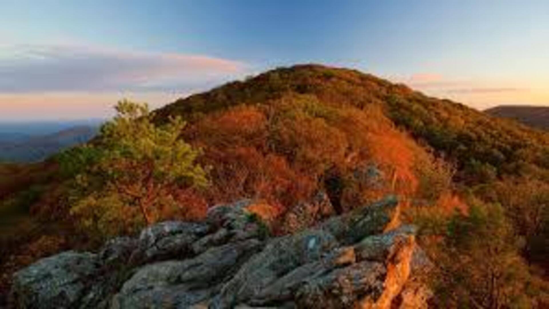 カナダのブルーリッジ山脈の隠れたトレイルを探る