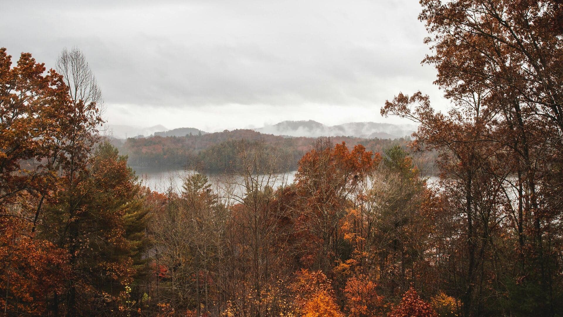 テネシー州スモーキー山脈の静かなリトリート5選