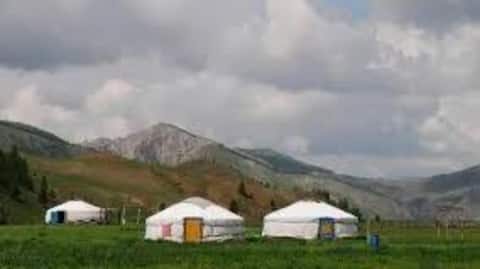 モンゴルの神聖なハンガイ山脈を探る旅