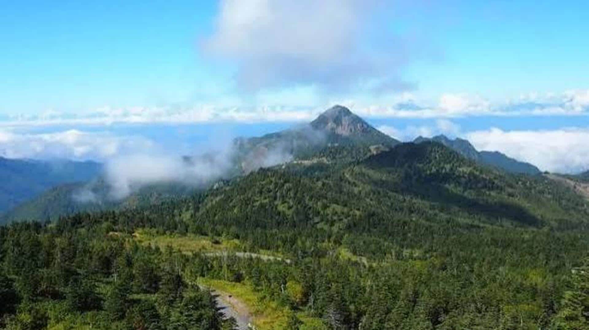日本人旅行者: 静かなアパラチア山脈での癒しの旅