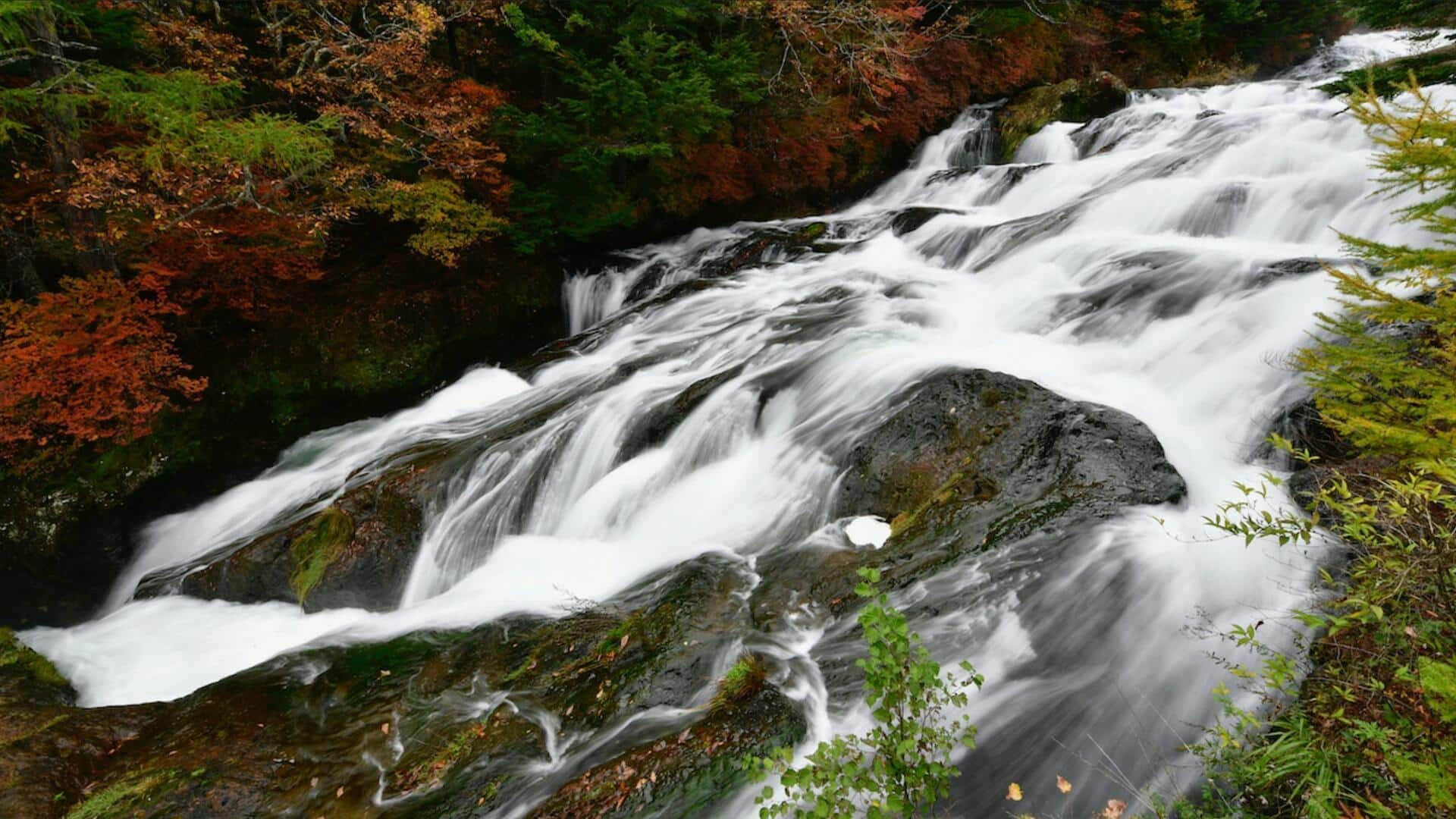 北海道の魅力的な冬の逃避行