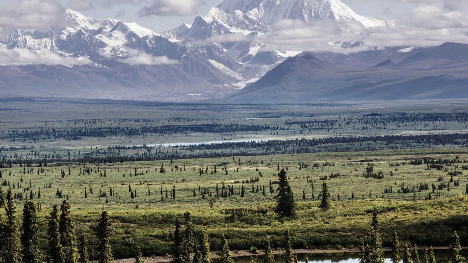 アメリカのデナリを発見: 自然の冒険が待っている
