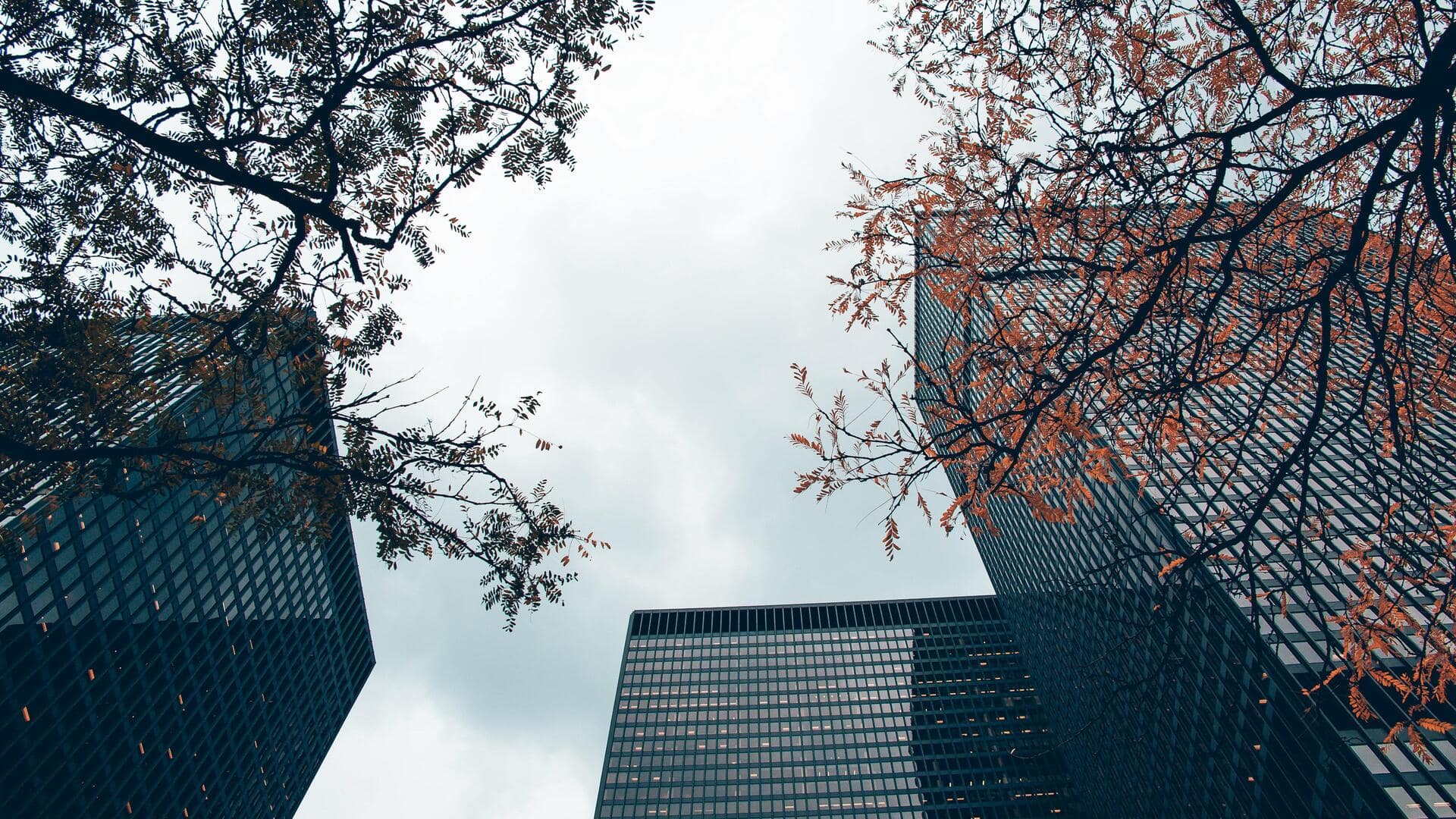 トロントのリラックスできるルーフトップガーデン