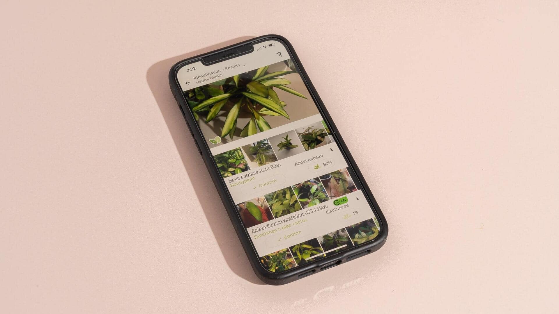 植物識別アプリのおすすめ