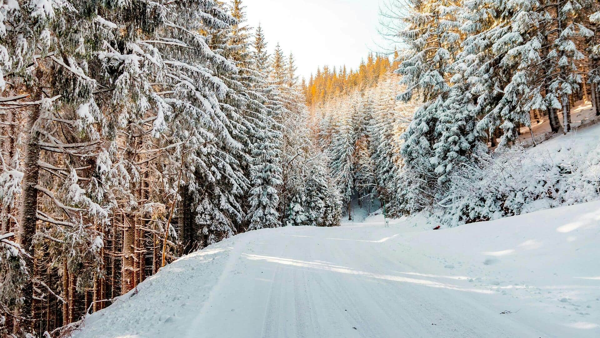 オーストラリアのスノーイーマウンテンズで静かな隠れ家を発見 オーストラリアのスノーイーマウンテンズで静かな隠れ家を発見