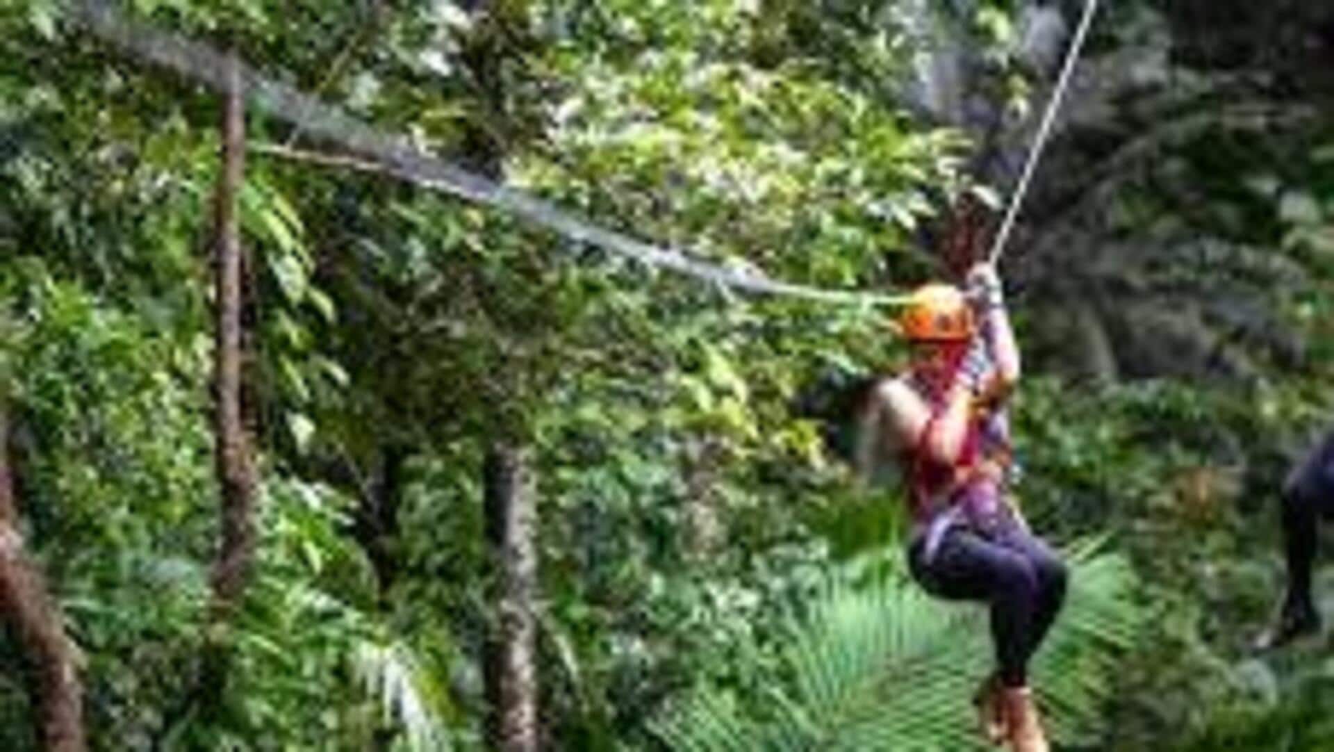 オーストラリアのデインツリー熱帯雨林で山の冒険を楽しむ