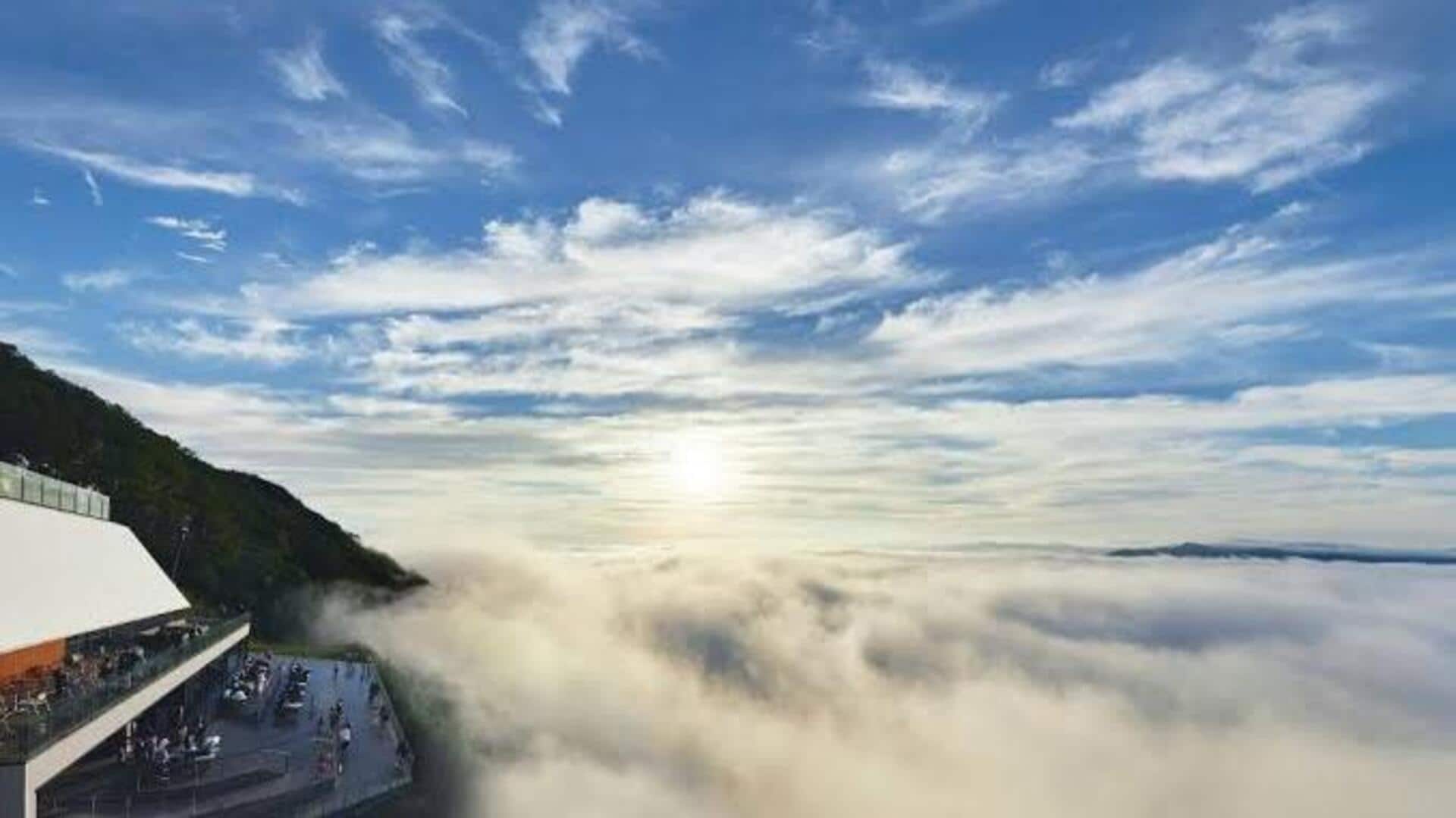雲海テラス：雲に包まれた絶景を体験