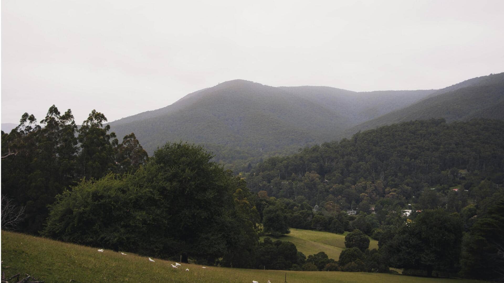 オーストラリアのスターリングレンジで楽しむ五つの冒険