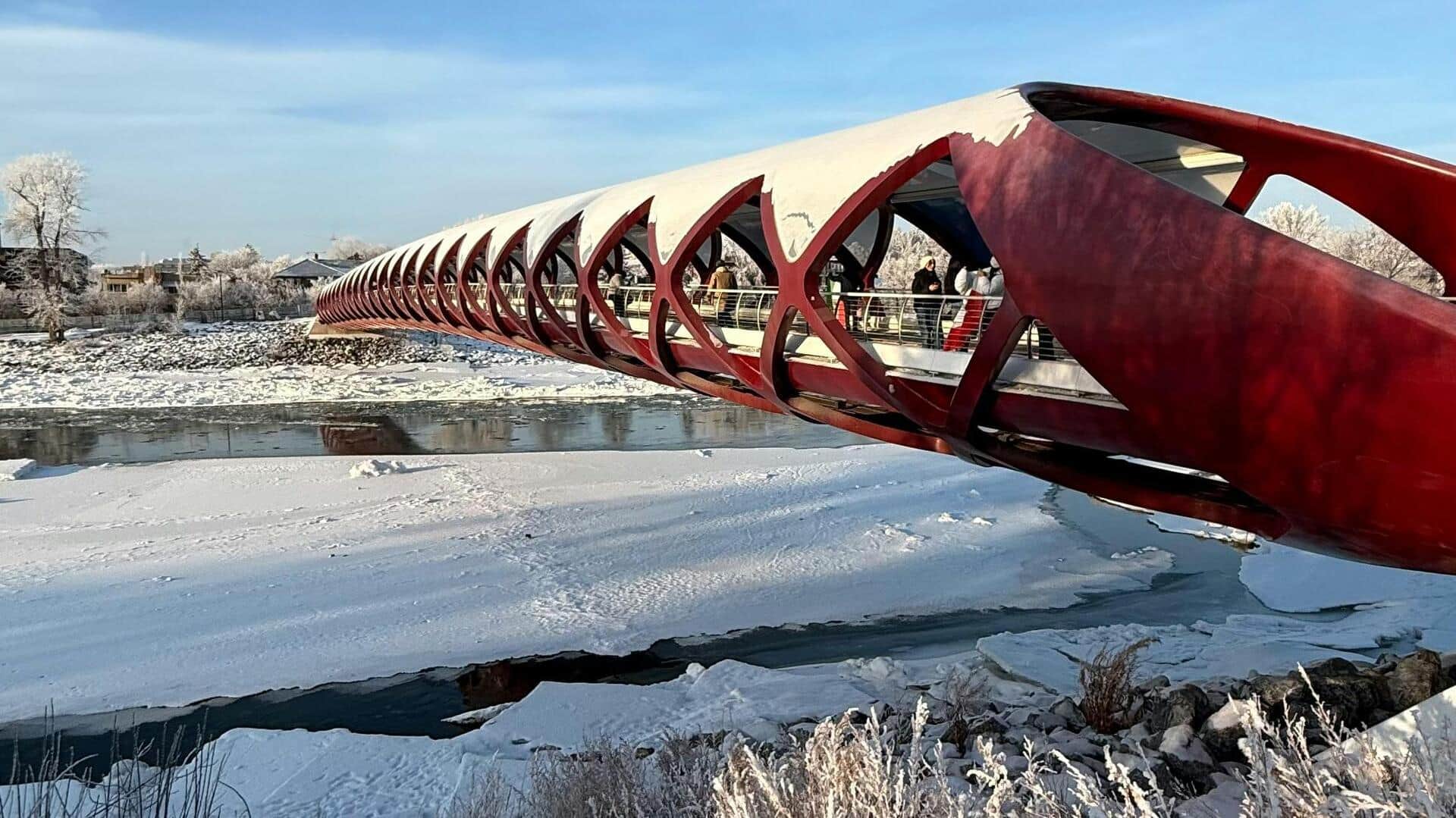 カルガリーのペットと楽しむ最高の散歩道