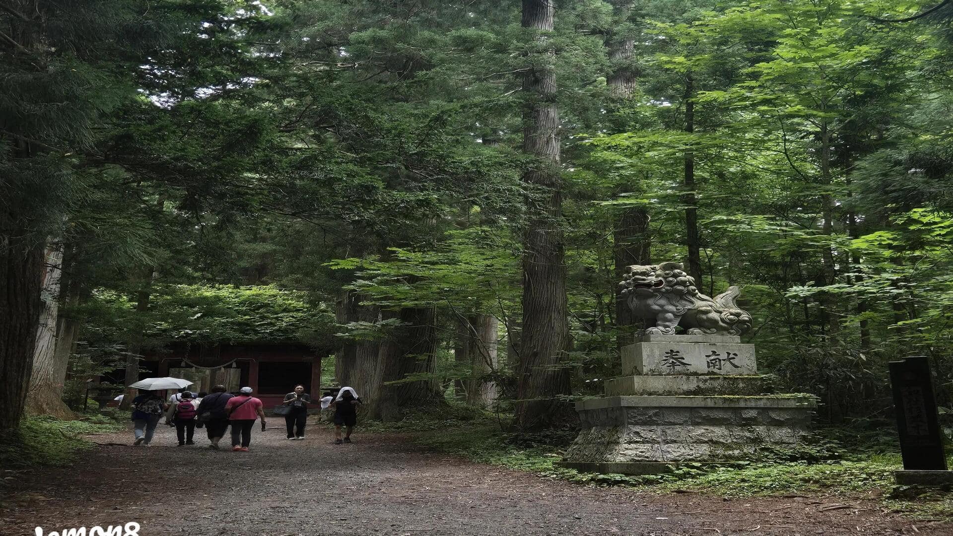 日本の荘厳な戸隠山を発見：ハイキングの楽園