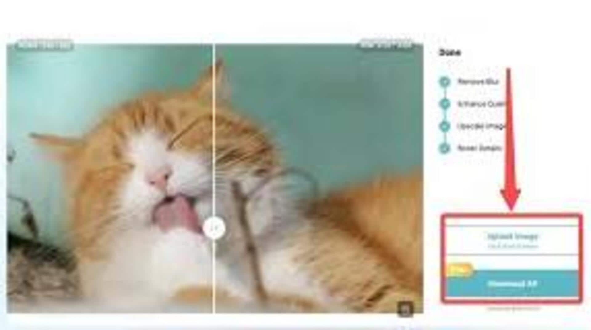 デジタル写真を無料ツールで鮮明にする方法