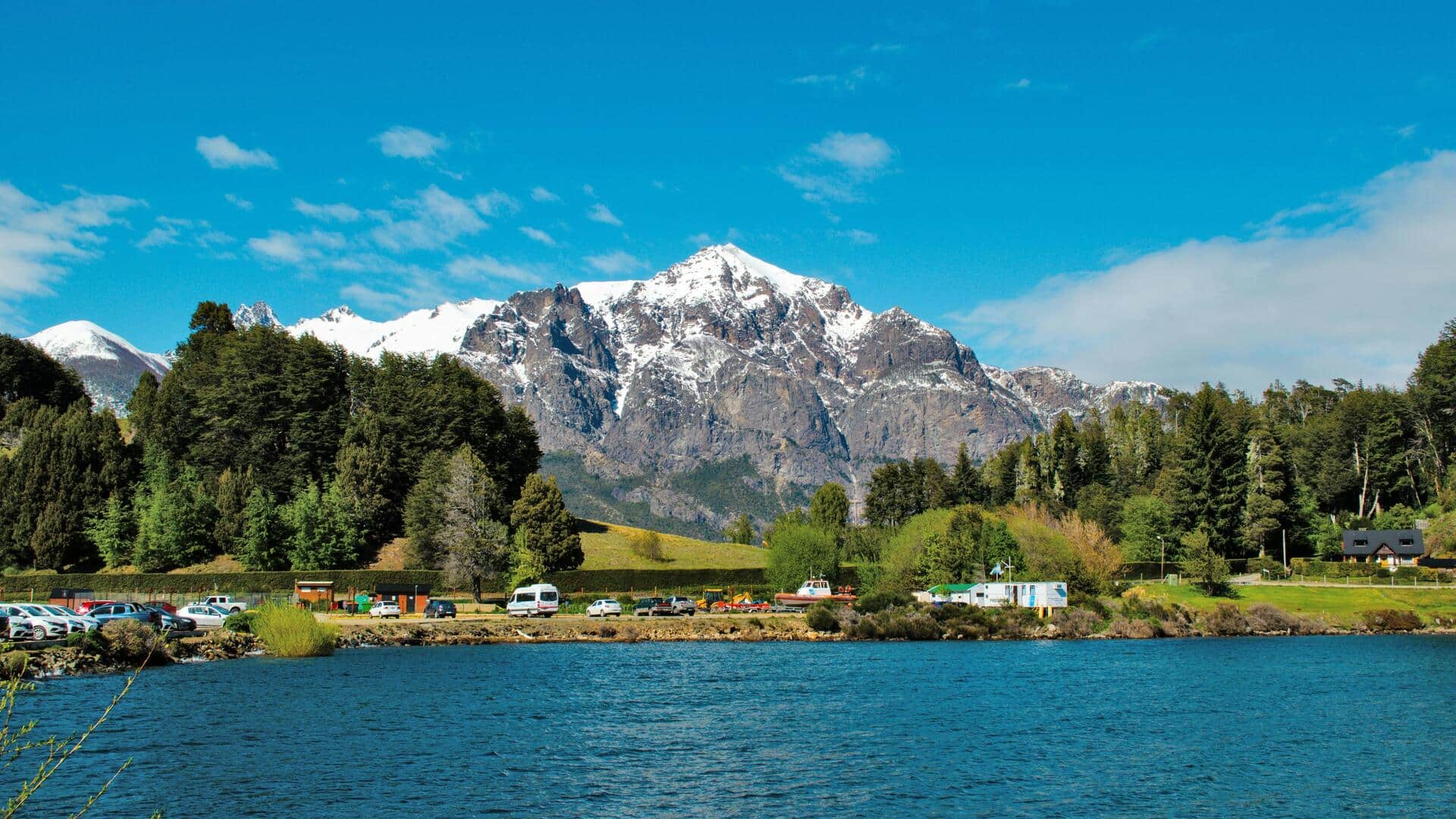 アルゼンチンのアンデス山脈の森林地帯: 自然の逃避行