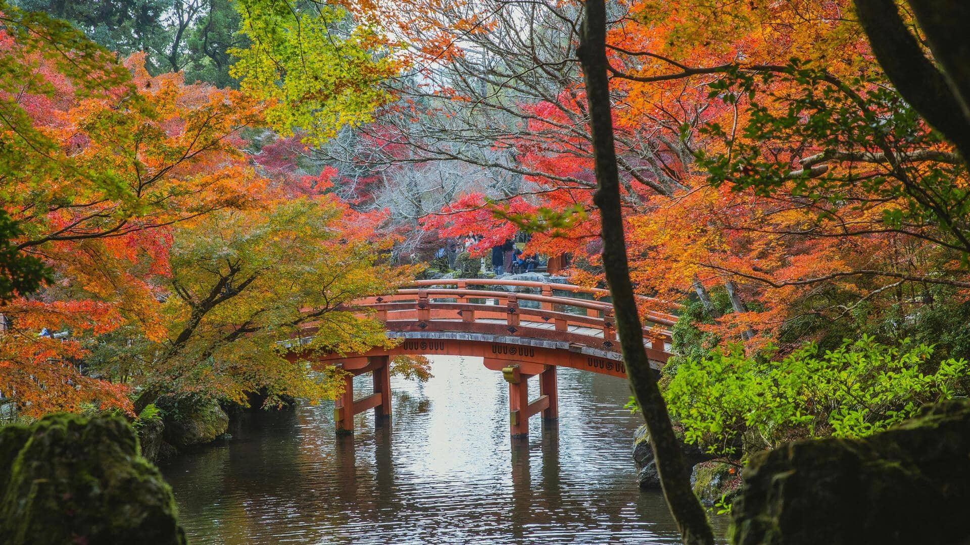 京都の秋の紅葉スポット五選