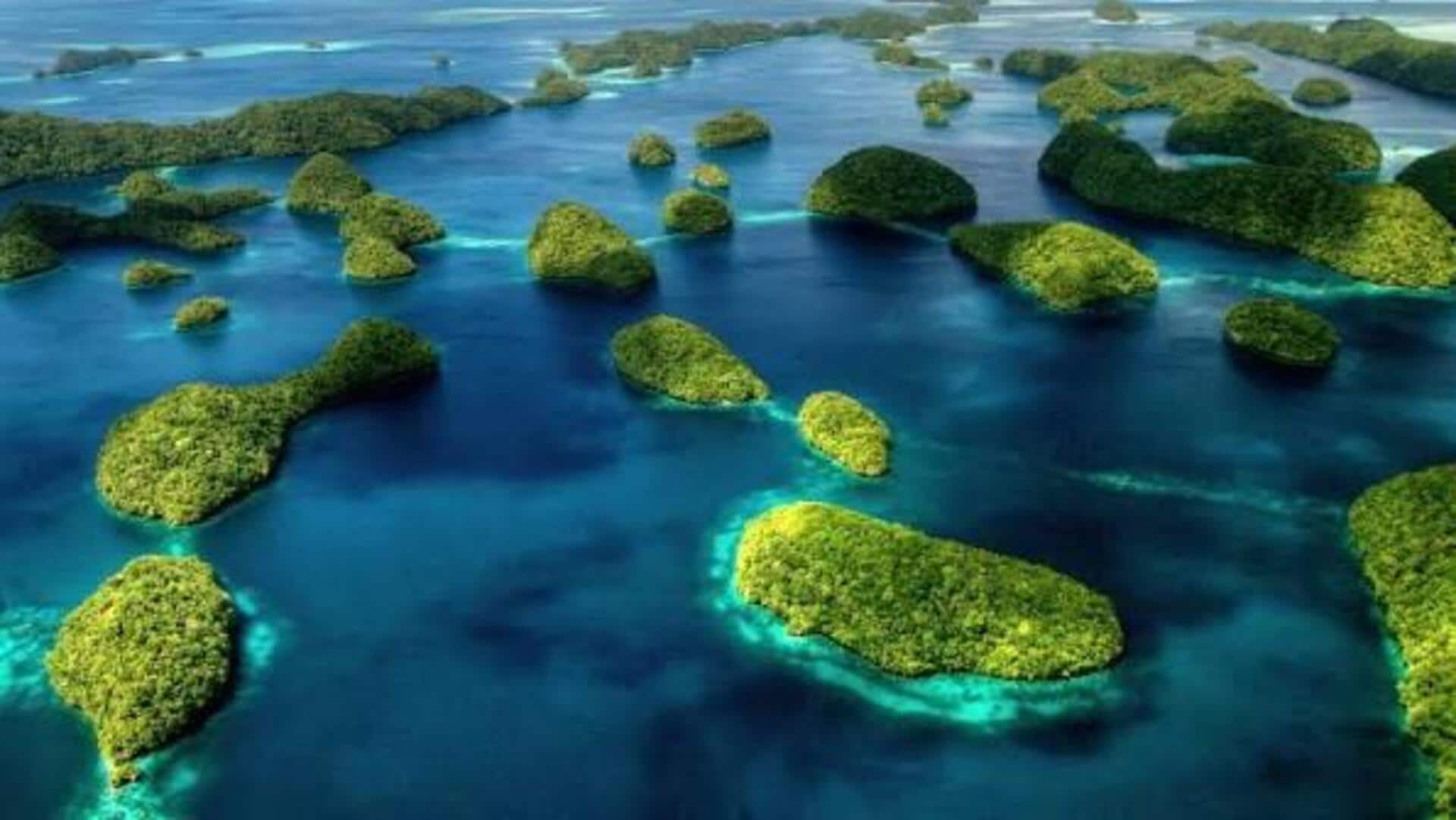 パラオの海洋保護区を探る