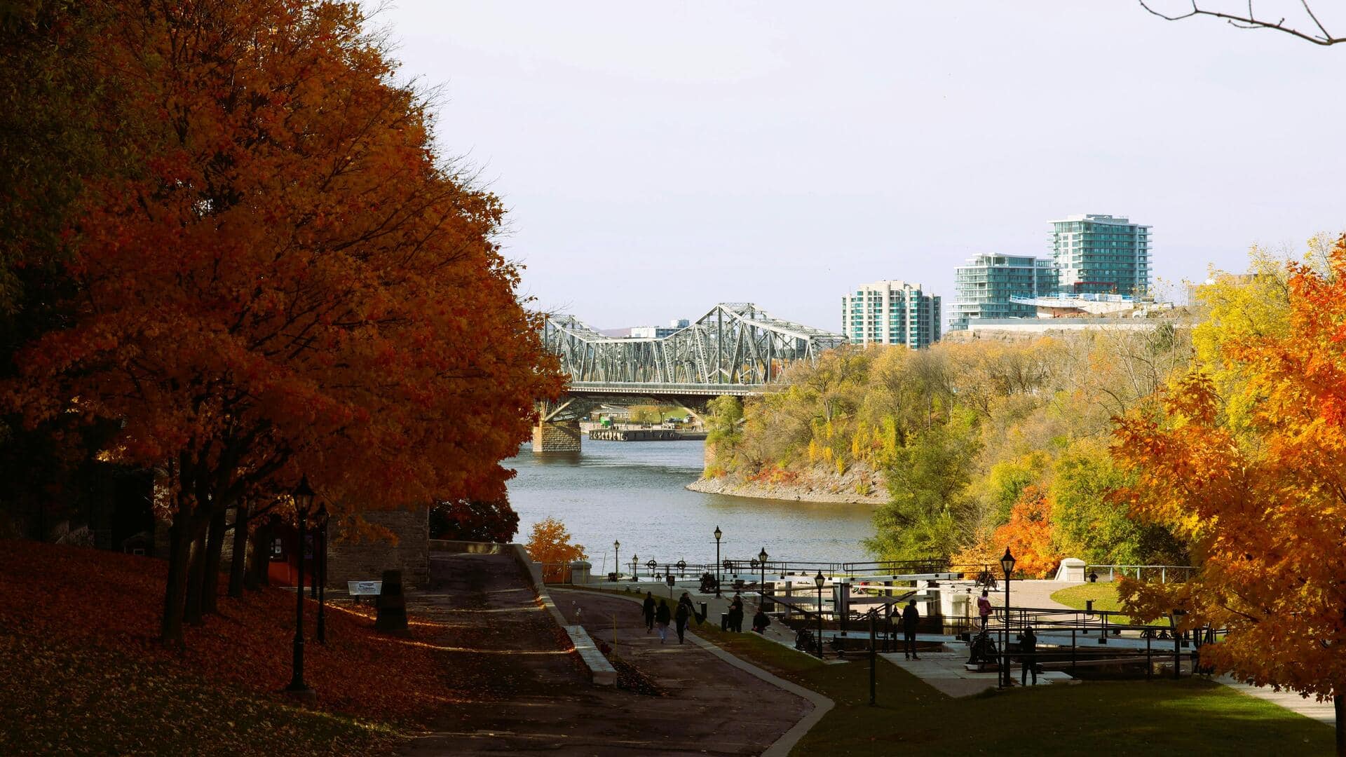 オタワで楽しむ季節の花々：五つの必見スポット