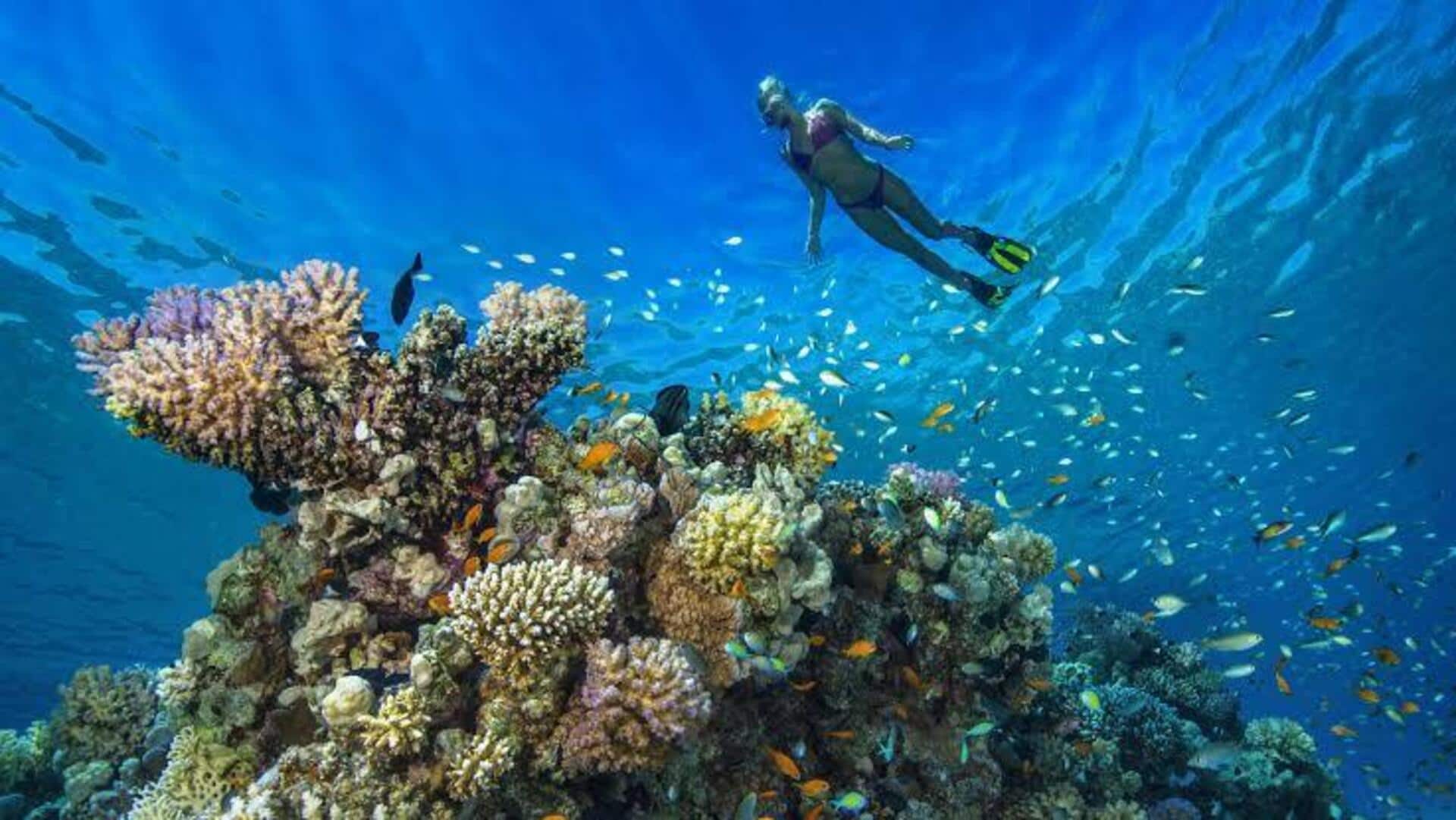 アンティグアの珊瑚海岸でリラックス