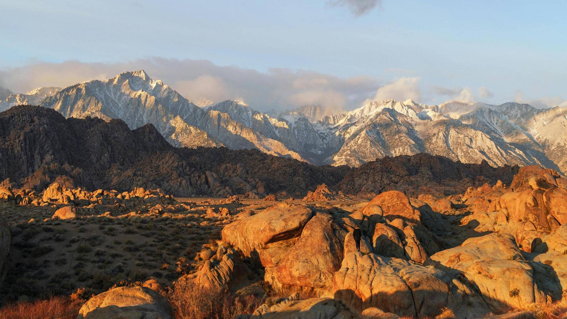 タスマニアのクレイドルマウンテンで静かな自然の隠れ家を探る