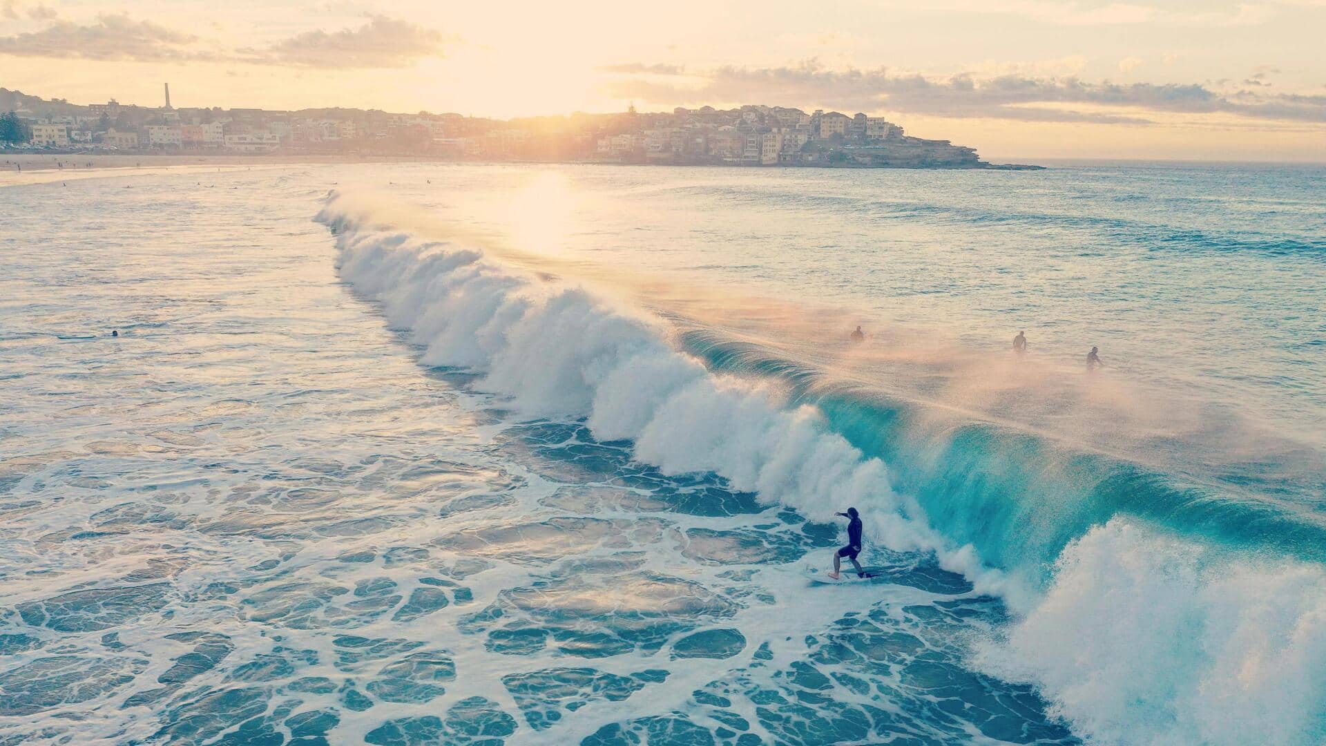 シドニーの読書好き必見の居心地の良いスポット