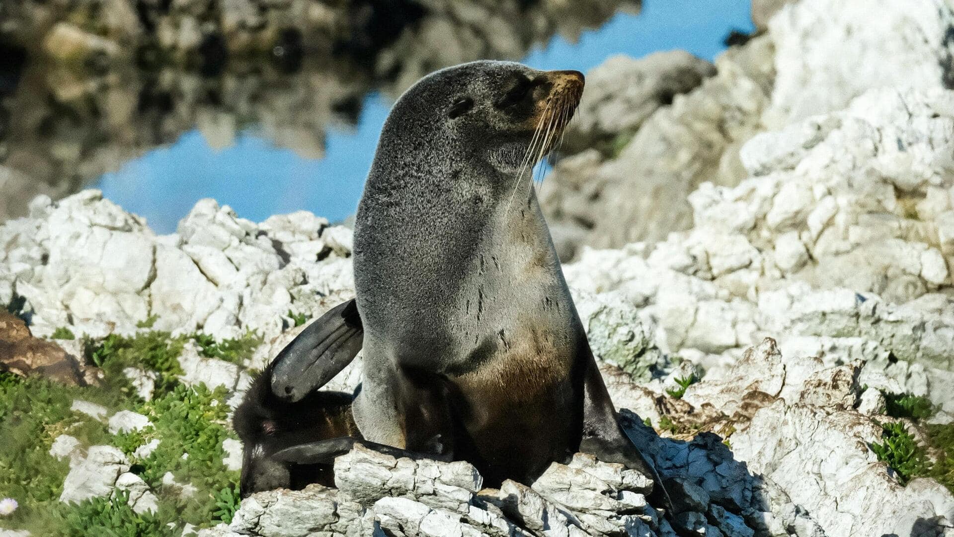 ニュージーランドの美しい海岸の町5選