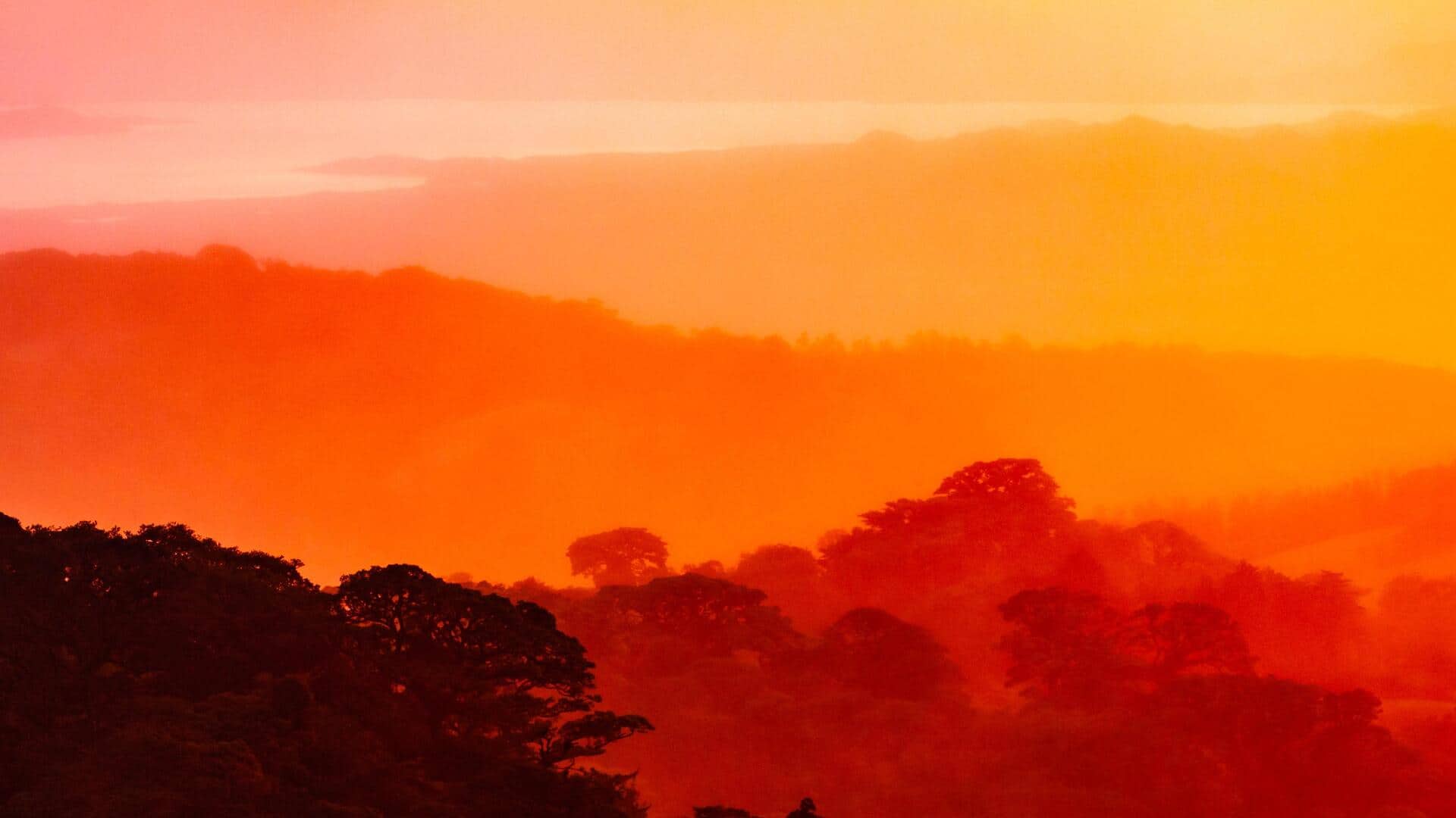 コスタリカのモンテベルデ山岳地帯の魅力