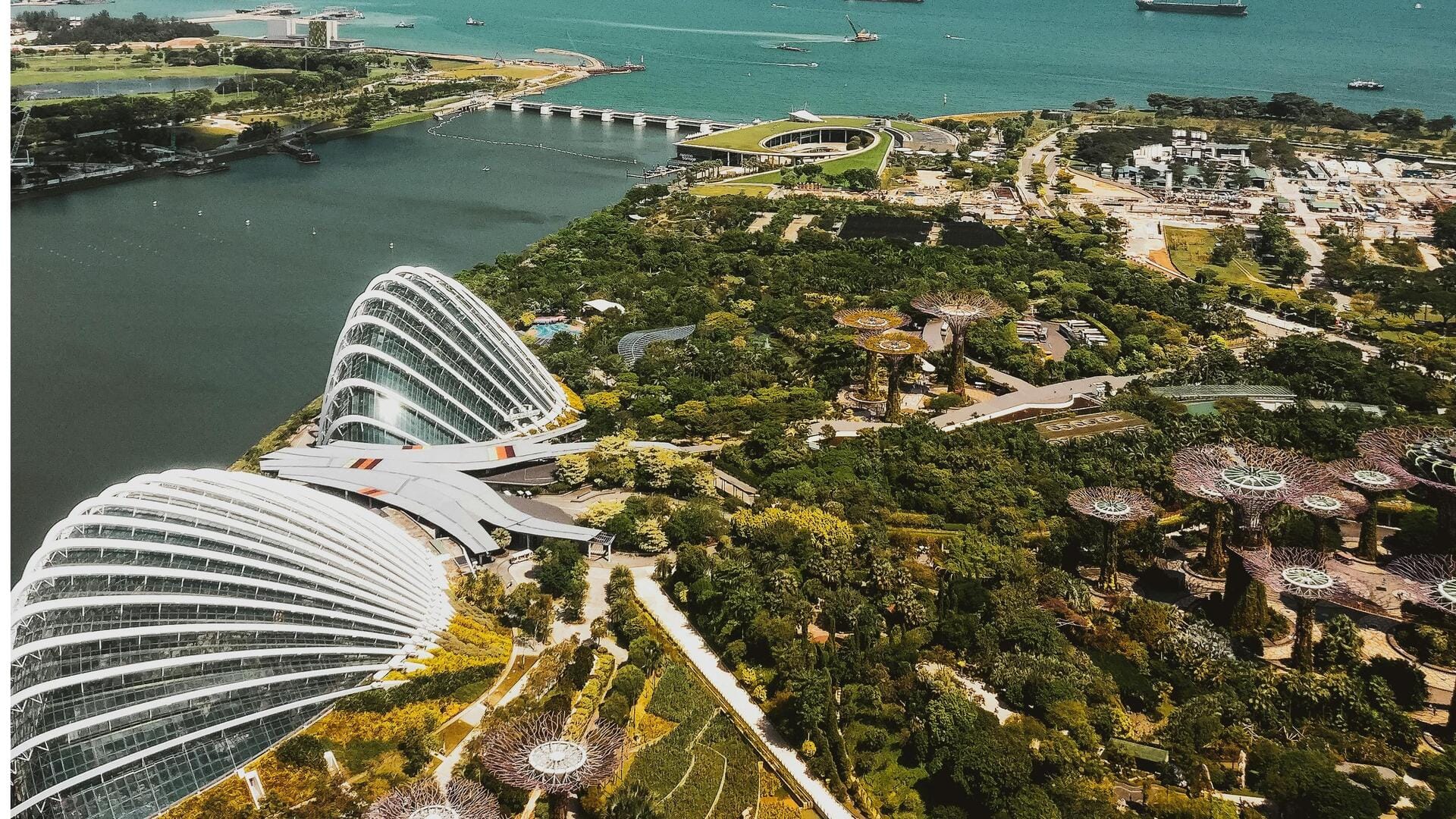 シンガポールの芸術地区を探るべき理由