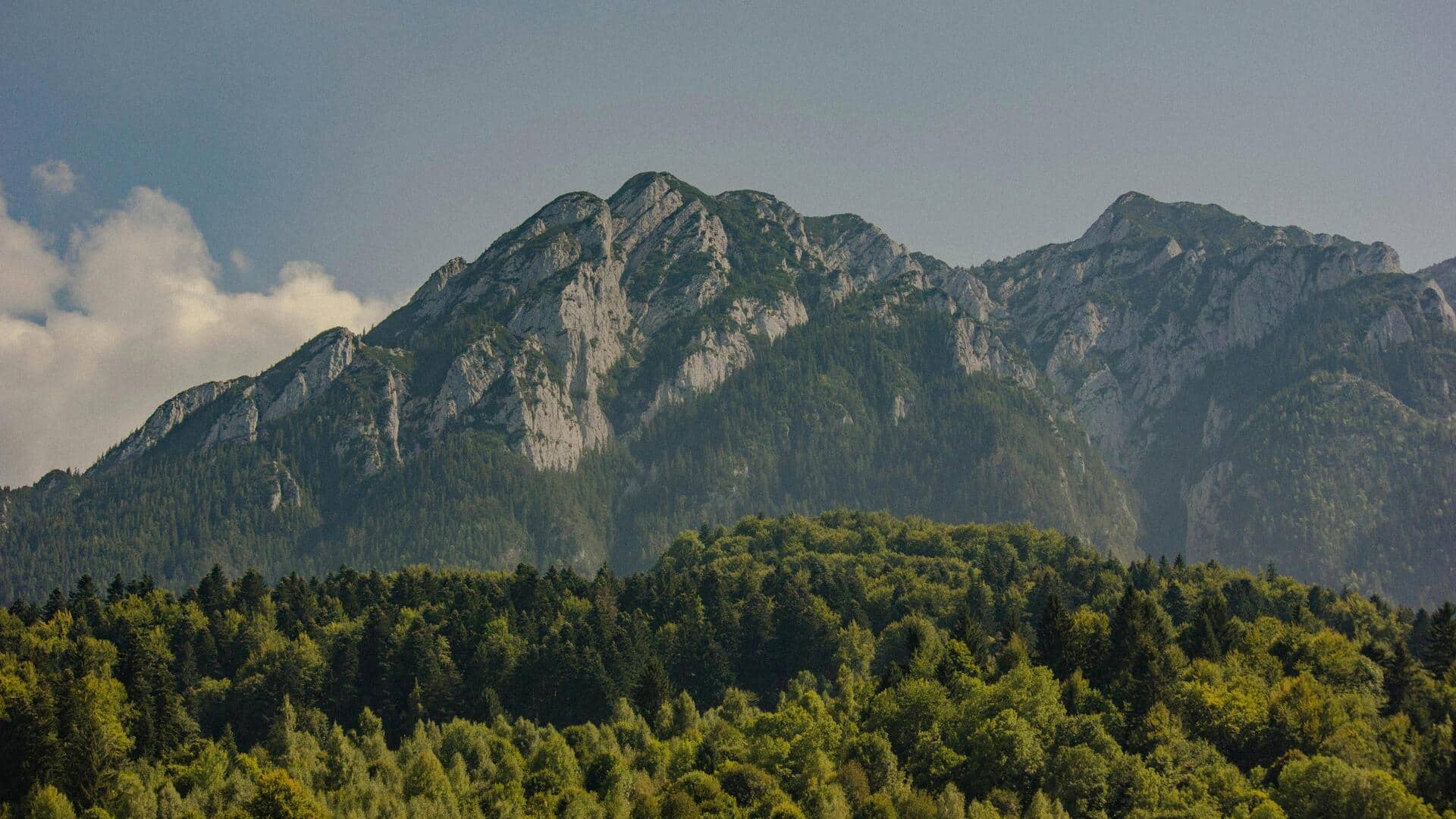 ルーマニアのカーパティア山脈：ドラキュラ伝説を超えた魅力的な休暇地