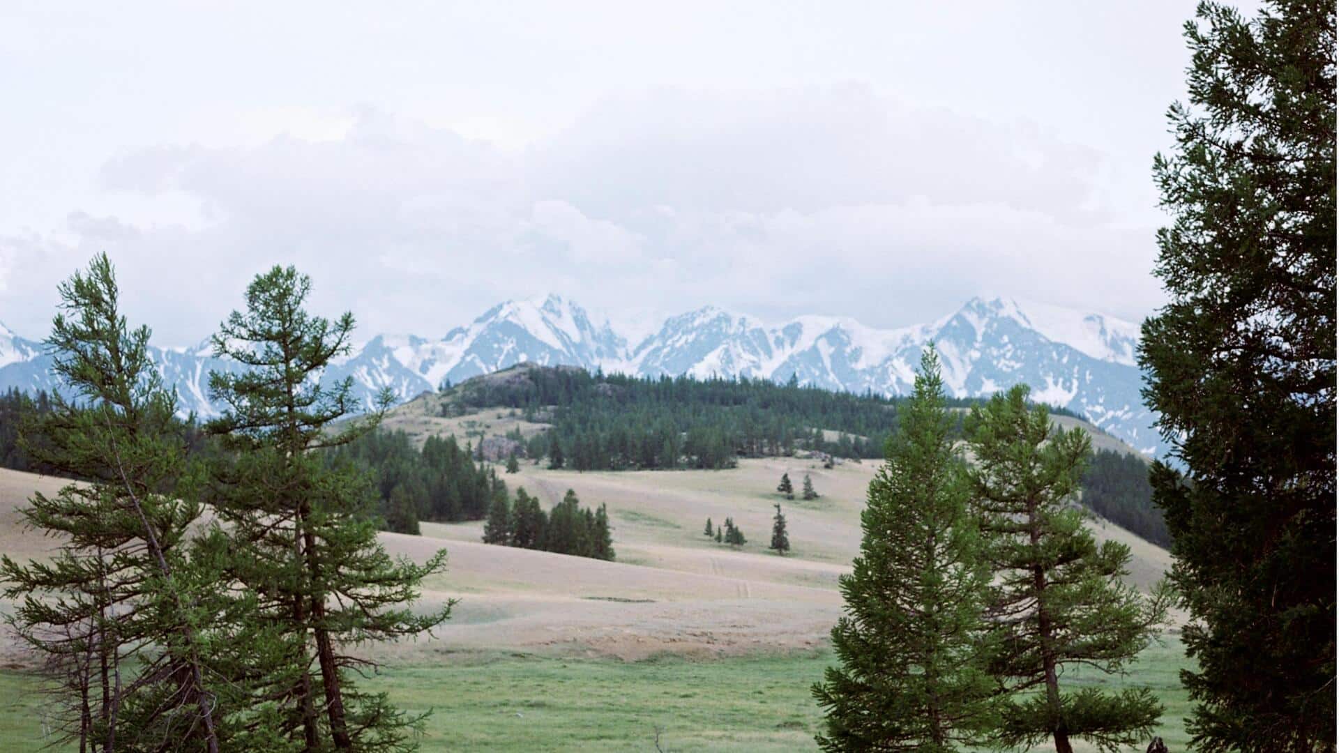 モンゴルの静かな山岳地帯でリラックス
